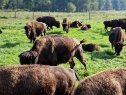 385904607_781585417102742_8319448678098663179_n